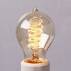 40 Watt Vintage Edison Light Bulbs, A19 Victorian Spiral Filament, Set of 10