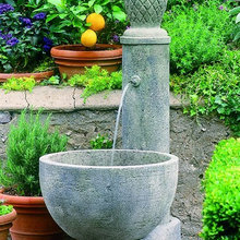 Landscape Ideas