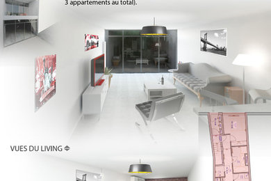 Projet Homi - 3 appartements dans une maison