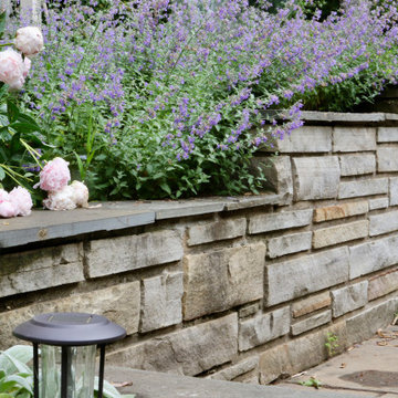 Deer resistant backyard