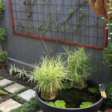 Patio Ideas