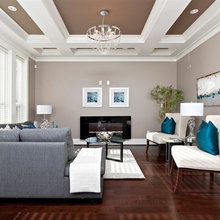 Living Room Ideas