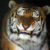 Mary Londos's photo