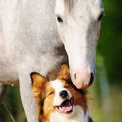 Diana Lee's photo