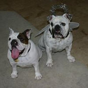 Ann Schettler's photo