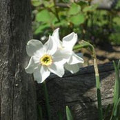 Foto von Katie Archer