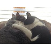 Carla Moser's photo