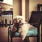 Diane Ackerman's photo