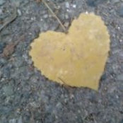 Caren Berry's photo