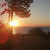 Shannon Lawer's photo