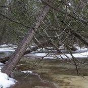 Jan Kern's photo