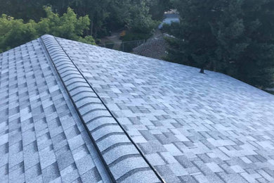 High Quality Roofs