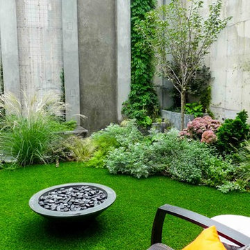 Modern Brooklyn Garden