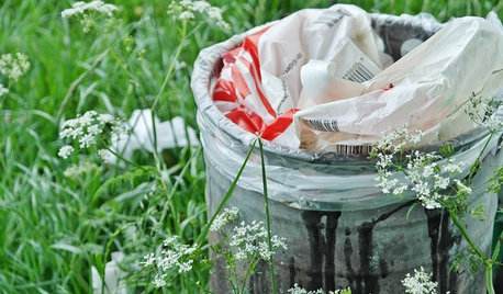 A Bad Wrap: How to Embrace Plastic Bag-Free Shopping