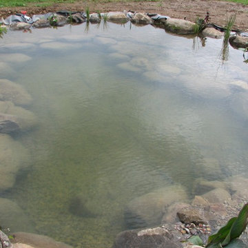 Yahara Ponds