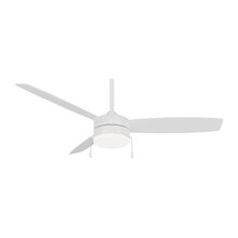 Ceiling Fans