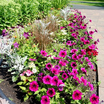 Softscape (Flowers, Flower beds and more)
