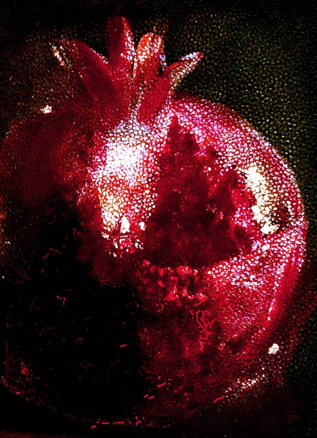 Картины. TANYA FIRN. Red Pomegranate Красный гранат