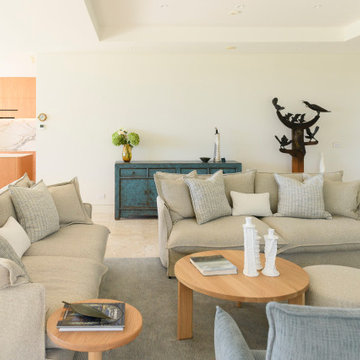 Takapuna - Renovation & Furniture