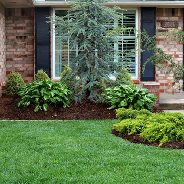Norman, OK Landscaping Renovation