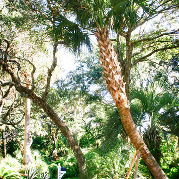 South Ponte Vedra Blvd.