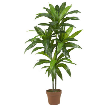 48" Dracaena Silk Plant, Real Touch