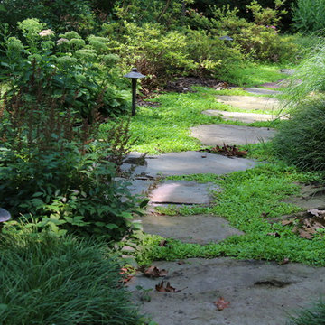 Landscape Revitalization