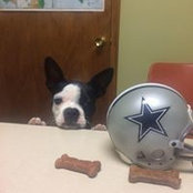 Bret Rosendohl's photo