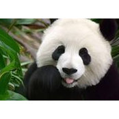 Foto de Hương Trầm Nguyễn