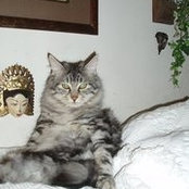 Lynda Wagner's photo