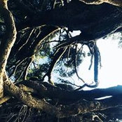 Jennifer Kaplan's photo