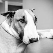 Kevin Campbell's photo