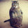 kate_webb2860880