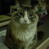Bevさんの写真