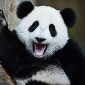 Jason Cook's photo
