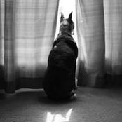 Pilar Moya's photo