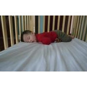 Patricia Ybarra's photo
