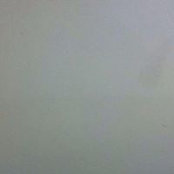 Elaine Doyle's photo
