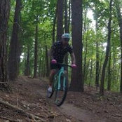 David Tisch's photo