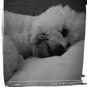 Fiona Bergin's photo