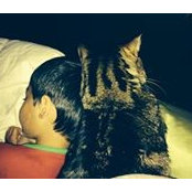 Cindy Cuevas's photo