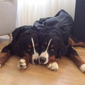 Susana Santos's photo
