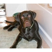 Joanna Carr's photo
