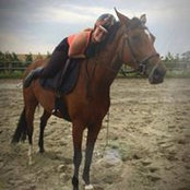Adeline Henry's photo