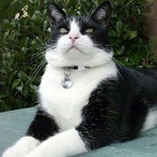 Susan Holberg's photo