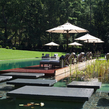 Bio Nova Natural Swimming Pool