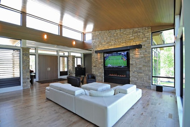 Example of a large trendy open concept light wood floor family room design in Other with multicolored walls, a ribbon fireplace, a metal fireplace and a wall-mounted tv