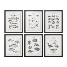 michele_stedding's ideas