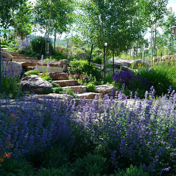 Design - Build Mountain Home Landscape in Summit County, CO