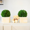 Artificial Boxwood Ball Topiary Artificial Plant Tabletop In Pot 7"H, Set of 2